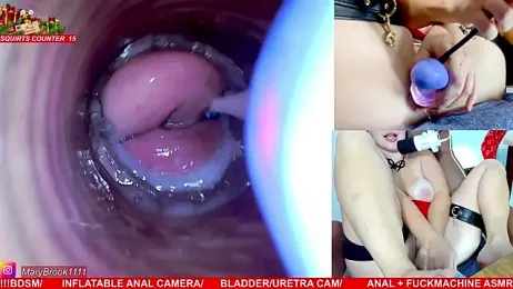 MaryBrook1 — Stripchat recorded stream screenshot (26 Dec 2025)