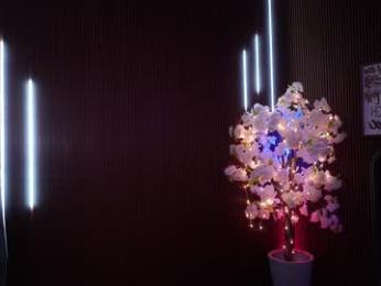 xforyoureyesonlyx — Chaturbate recorded stream screenshot (28 Dec 2025)