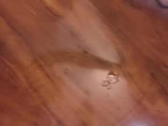 im_jessica_cherry — Chaturbate recorded stream image, 29.12.2025 04:50