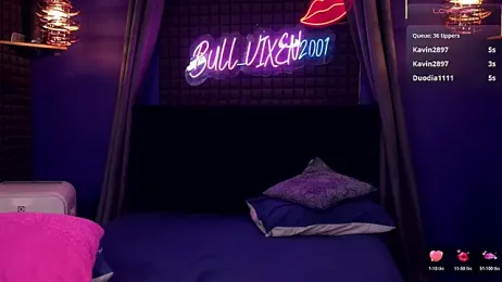 bull_vixen2001 — Stripchat recorded stream image, 30.12.2025 11:30