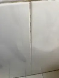 Black-mamba-madingo — Stripchat recorded stream screenshot (06 Jan 2026)