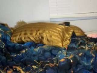 laylared — Camsoda recorded stream image, 08.01.2026 03:40