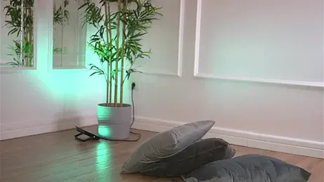 Cherrysweett — Stripchat recorded stream screenshot (08 Jan 2026)