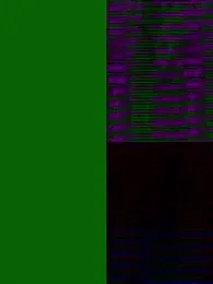 Saakoora — Stripchat recorded stream image, 09.01.2026 20:20