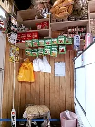 TheBriiaand30 — Stripchat recorded stream screenshot (13 Jan 2026)