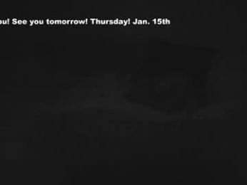 eatmygingersnapps — Chaturbate recorded stream screenshot (14 Jan 2026)