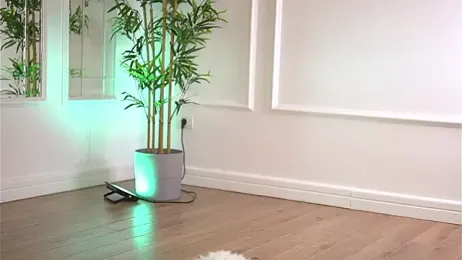 Cherrysweett — Stripchat recorded stream screenshot (27 Jan 2026)