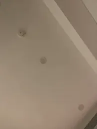 MEOW_MEO — Stripchat recorded stream screenshot (27 Jan 2026)