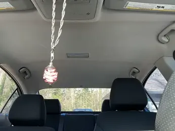 trash4cash — Stripchat recorded stream image, 28.01.2026 15:40