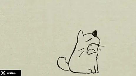 zoneboys — Stripchat recorded stream screenshot (28 Jan 2026)