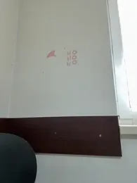 Almmaxxxx — Stripchat recorded stream screenshot (02 Feb 2026)