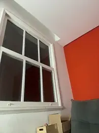 Nikatsu — Stripchat recorded stream screenshot (02 Feb 2026)