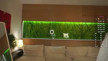 Sweetemerry — Stripchat recorded stream screenshot (03 Feb 2026)