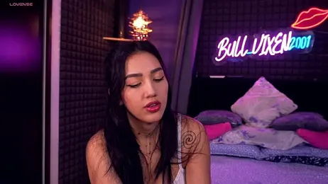 bull_vixen2001 — Stripchat recorded stream image, 04.02.2026 09:00