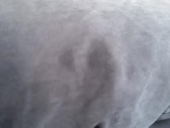 quantum_heart — Chaturbate recorded stream image, 04.02.2026 11:50
