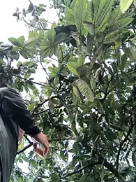 lamejorpene — Stripchat recorded stream screenshot (05 Feb 2026)