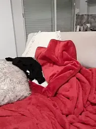 bailey_mcvicar — Stripchat recorded stream screenshot (06 Feb 2026)