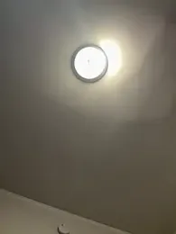 LoveShae_ — Stripchat recorded stream screenshot (11 Feb 2026)