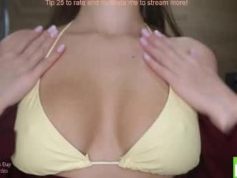 purrfectduo — Chaturbate recorded stream screenshot (13 Feb 2026)