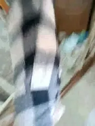 seloloko20 — Stripchat recorded stream screenshot (14 Feb 2026)