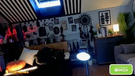 vulagarmanners_ — Stripchat recorded stream screenshot (15 Feb 2026)