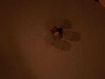 miafleur — Chaturbate recorded stream screenshot (16 Feb 2026)