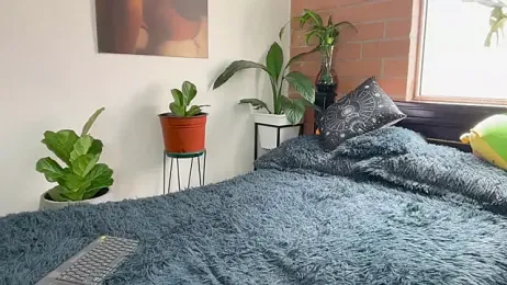 Andy_Belier23 — Stripchat recorded stream screenshot (17 Feb 2026)