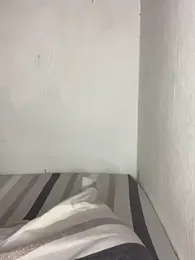 teddy04 — Stripchat recorded stream screenshot (19 Feb 2026)