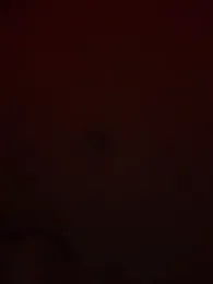 Omg6phoo9 — Stripchat recorded stream screenshot (19 Feb 2026)