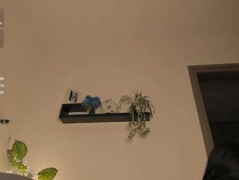 PLUXURY- — Bongacams recorded stream screenshot (24 Feb 2026)