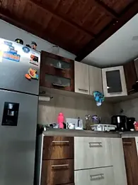 shelby_kutter — Stripchat recorded stream screenshot (25 Feb 2026)