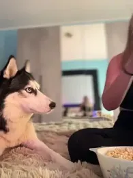 AnastasiaAniess — Stripchat recorded stream screenshot (27 Feb 2026)