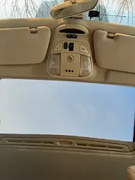 DollyTall — Stripchat recorded stream screenshot (28 Feb 2026)