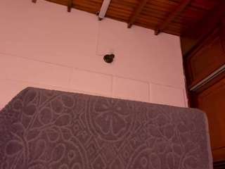 gabbyhaze — Camsoda recorded stream image, 03.03.2026 05:30