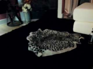 giannalove — Camsoda recorded stream image, 04.03.2026 05:30