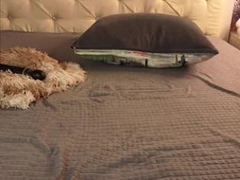 freyabyrne — Chaturbate recorded stream image, 08.03.2026 05:40