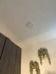 valeria2019hot — Stripchat recorded stream screenshot (10 Mar 2026)