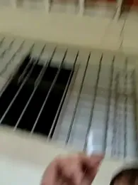 Peludo173317 — Stripchat recorded stream screenshot (10 Mar 2026)