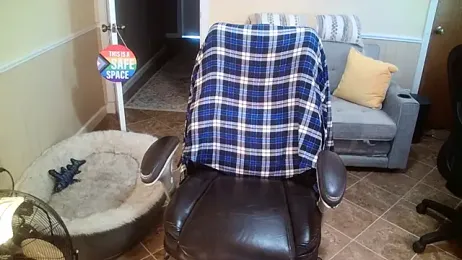 superbearboss — Stripchat recorded stream image, 11.03.2026 15:00