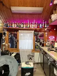 delicioussdixie — Stripchat recorded stream image, 13.03.2026 00:40