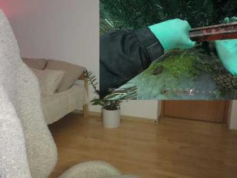 DerzhiChlen — Bongacams recorded stream image, 13.03.2026 12:10