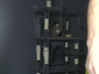 sydaffect — Chaturbate recorded stream screenshot (16 Mar 2026)