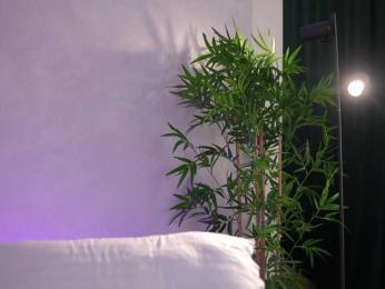 ArtTeasee — Bongacams recorded stream image, 16.03.2026 07:40