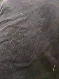 PIGHIGHDIRTY_p0 — Stripchat recorded stream screenshot (16 Mar 2026)