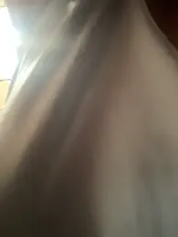 Hall_16 — Stripchat recorded stream screenshot (22 Mar 2026)