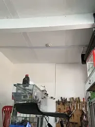 Paul22cm- — Stripchat recorded stream image, 23.03.2026 13:50