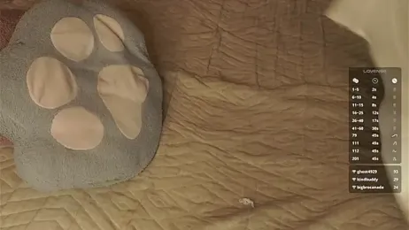 DarylBarks — Stripchat recorded stream image, 27.03.2026 02:20