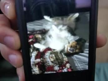 sydaffect — Chaturbate recorded stream screenshot (30 Mar 2026)