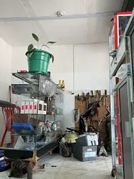 Paul22cm- — Stripchat recorded stream image, 30.03.2026 14:00