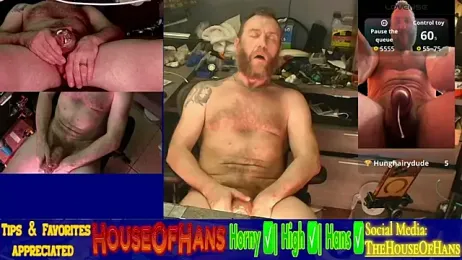 HouseOfHans — Stripchat recorded stream image, 31.03.2026 22:50